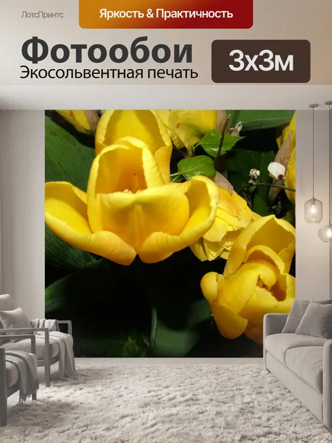 Фотообои Желтые тюльпаны