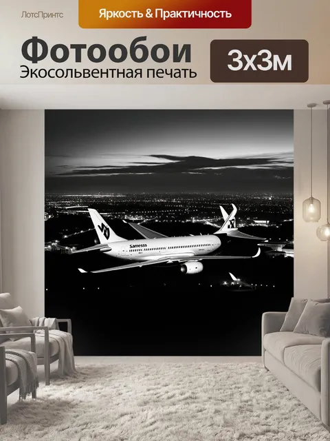 Фотообои самолет в черно-белом стиле, с панорамным видом на город, освещенный огнями
