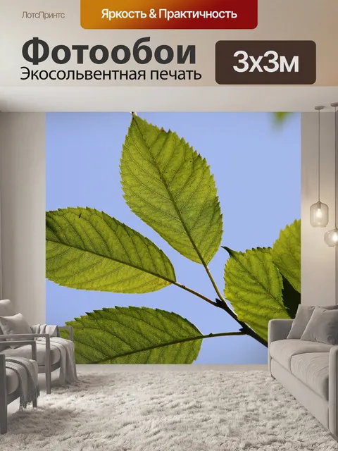 Фотообои Зеленые листья