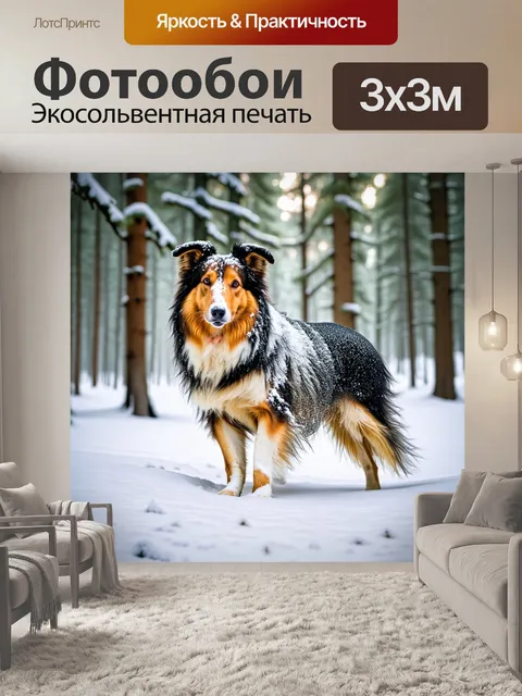 Фотообои колли, исследующая снежный лес, покрытый мягким белым снегом