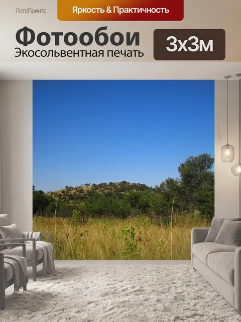 Фотообои южноафриканский пейзаж с травой