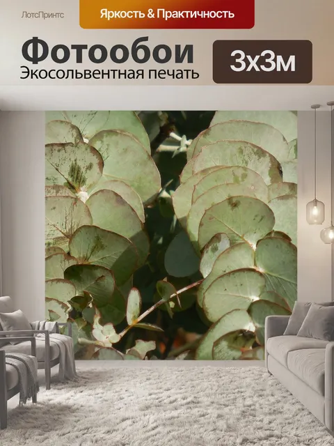Фотообои Эвкалипт