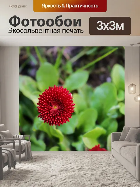 Фотообои Дейзи