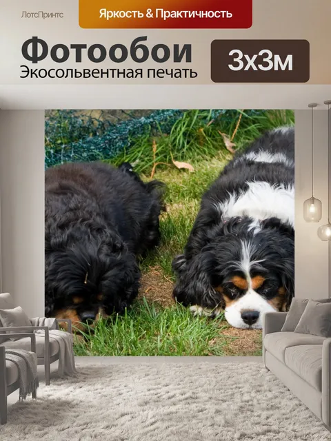 Фотообои Собаки