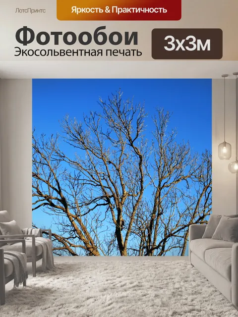 Фотообои голые дерево на синем небе