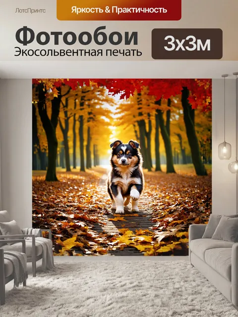 Фотообои в ярком осеннем лесу шпиц-щенки бегают по покрытым листьями дорожкам, оставляя за собой следы
