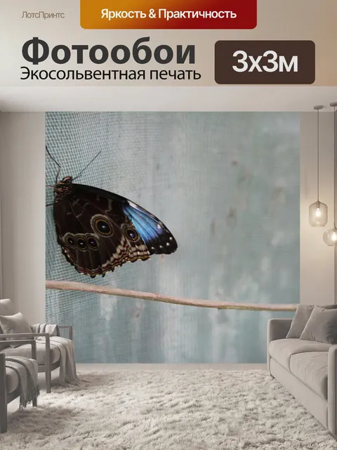 Фотообои Святилище бабочек Коста-Рика