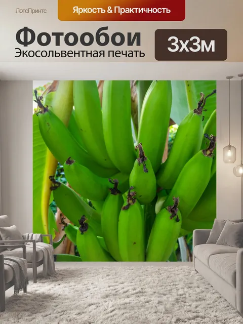 Фотообои Выращивание бананов