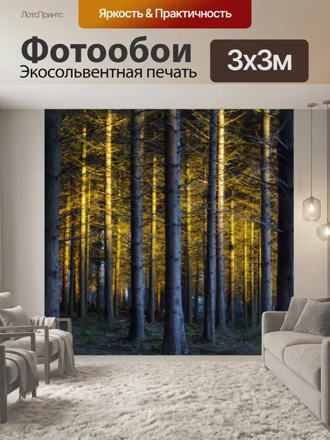 Фотообои Заколдованный лес II