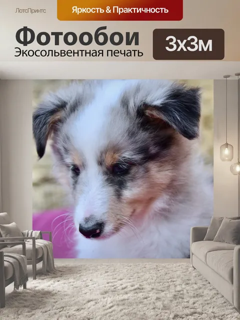 Фотообои Щенок