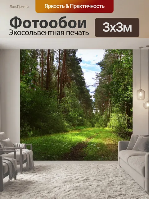 Фотообои Лесная тропа