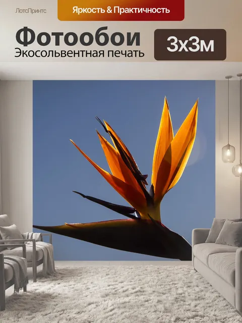Фотообои Райская птица цветок