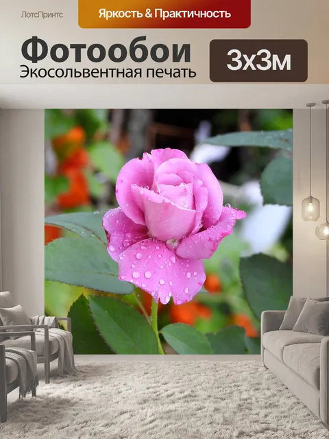 Фотообои Розовый