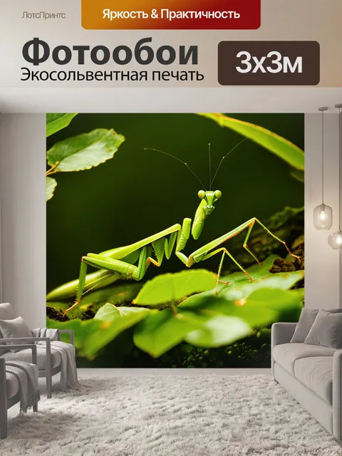 Фотообои изображение зеленого богомола