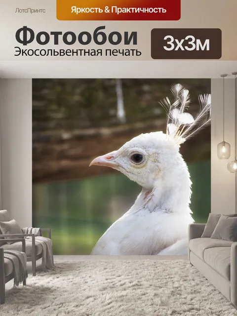 Фотообои Павлин