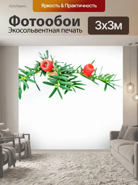 Фотообои Зеленая ветка иглы