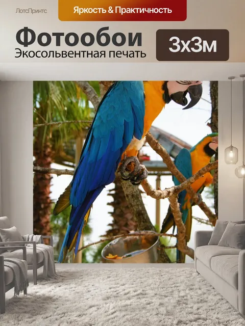 Фотообои Голубой и золотой ара