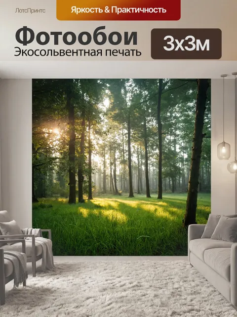 Фотообои природа в стиле максимализма, показывающие утренний лес с росой на траве и светом, пробивающимся через деревья