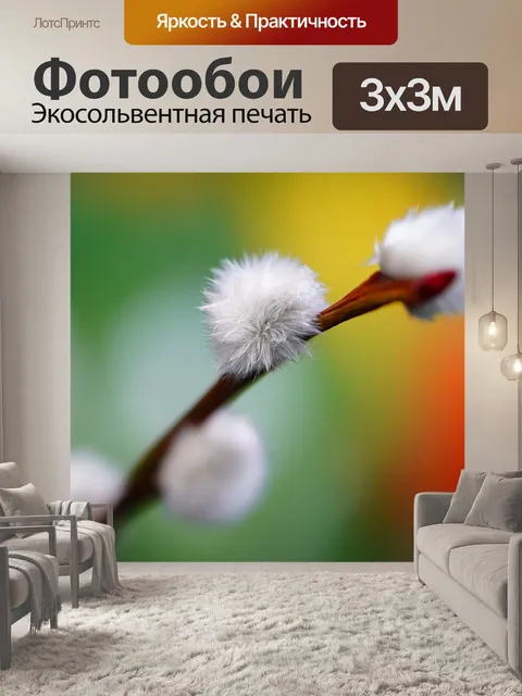Фотообои Блоссом котенка