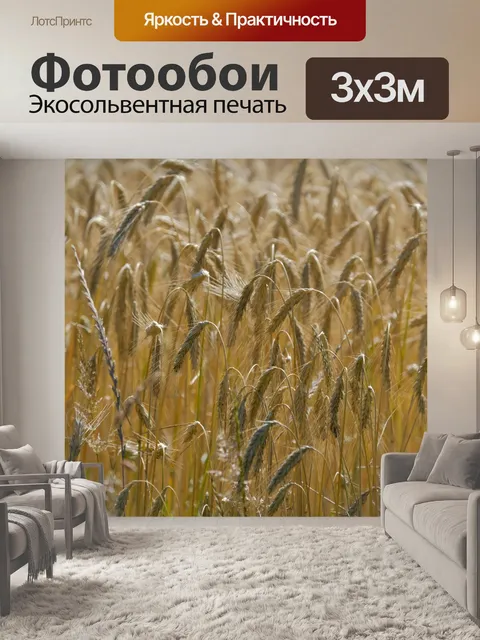 Фотообои Колосья спелой пшеницы