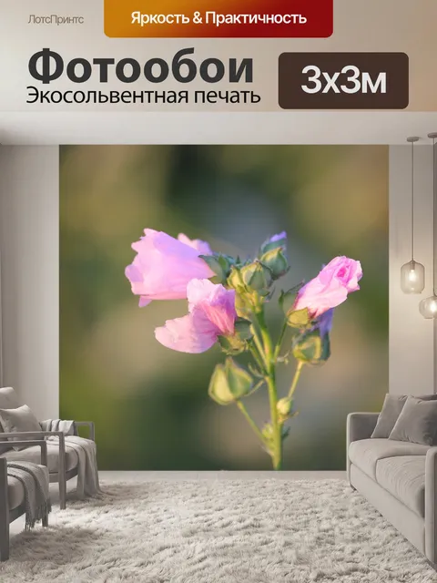 Фотообои Мальва обыкновенная