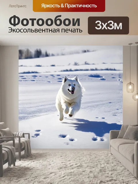 Фотообои самоед, весело мчащийся по заснеженной равнине, оставляя за собой следы на мягком, пушистом снегу