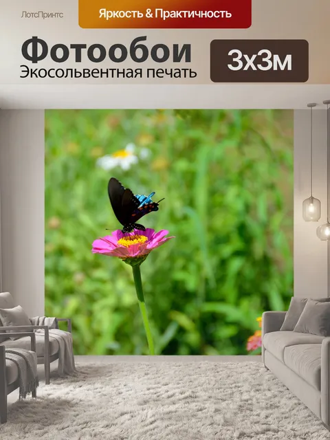 Фотообои Черный Махаон Бабочка