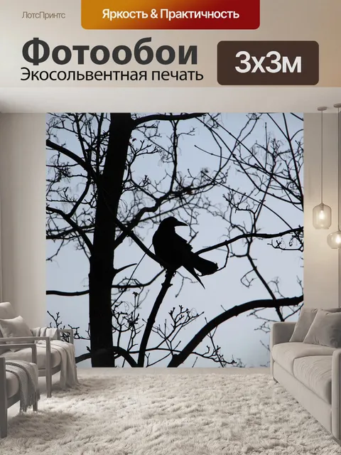 Фотообои Птица