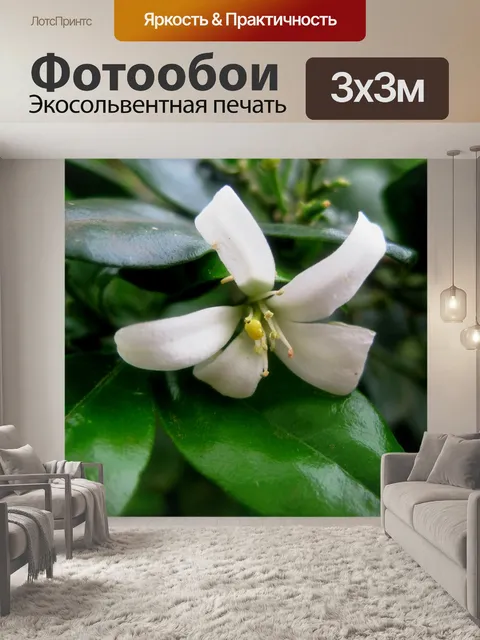 Фотообои лимон цвести