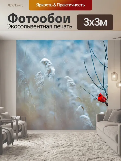 Фотообои Кардинал