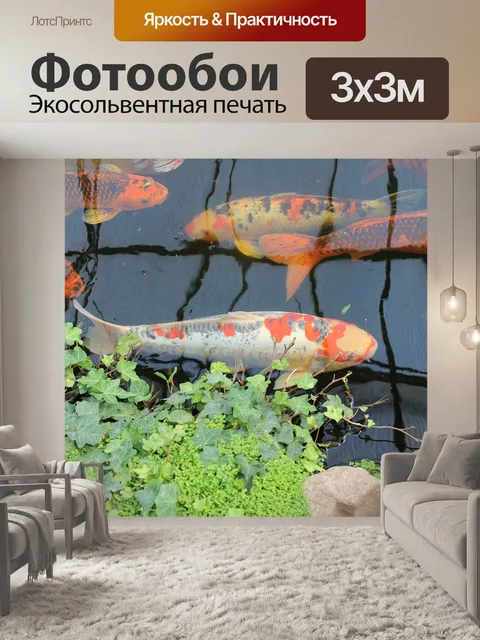 Фотообои Koi