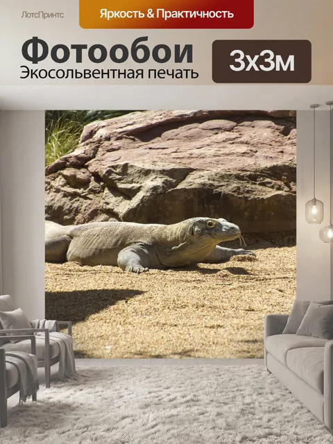 Фотообои Дракон