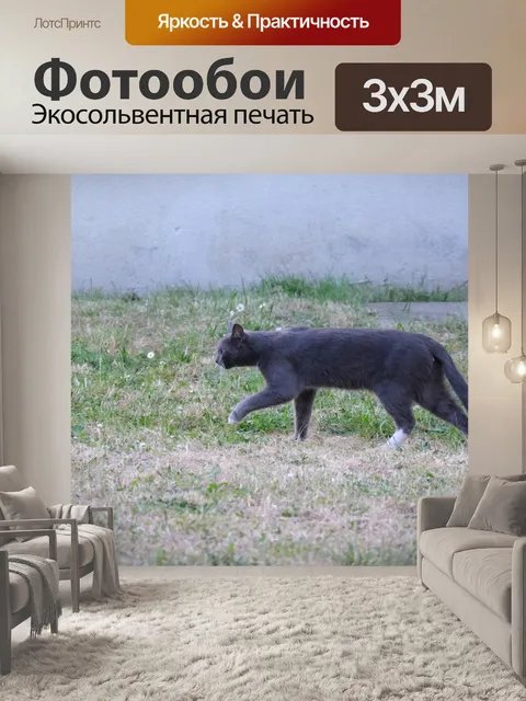 Фотообои Серый кот гуляет