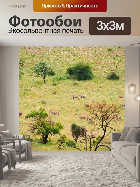 Фотообои канна, стоящая на склоне холма