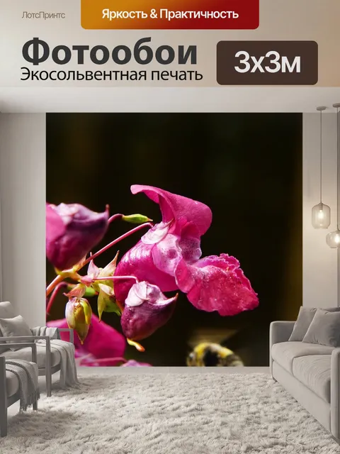 Фотообои Бальзам