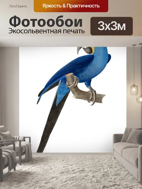 Фотообои Искусство Птицы Винтажный Ара