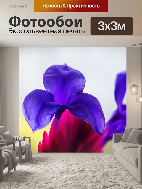Фотообои Бромелию