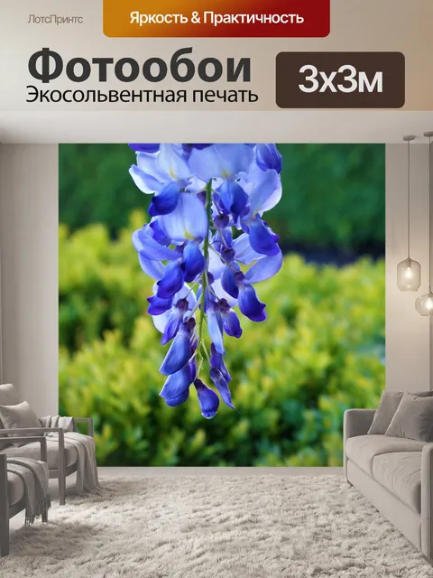 Фотообои Глициния