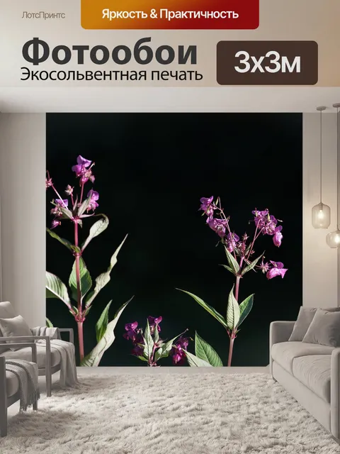 Фотообои Бальзам