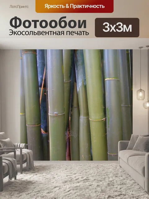 Фотообои Бамбуковая красота