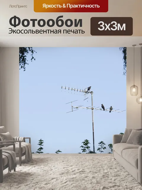 Фотообои Галки