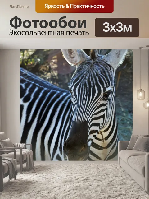 Фотообои Зебра