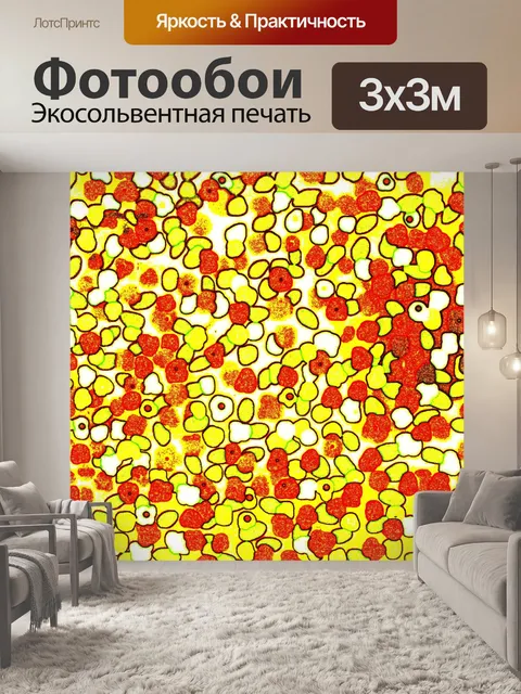 Фотообои Желтые абстрактные круги обои