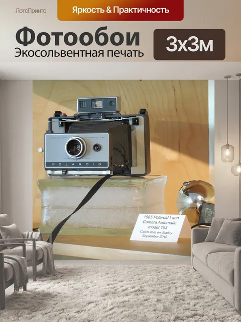 Фотообои Камера