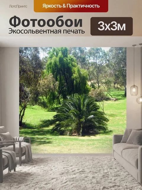 Фотообои Парк