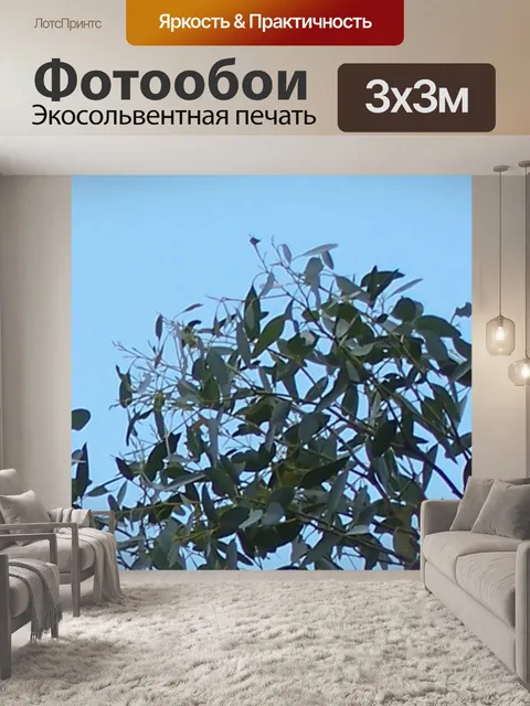 Фотообои Свеча-палки дерева Cussonia