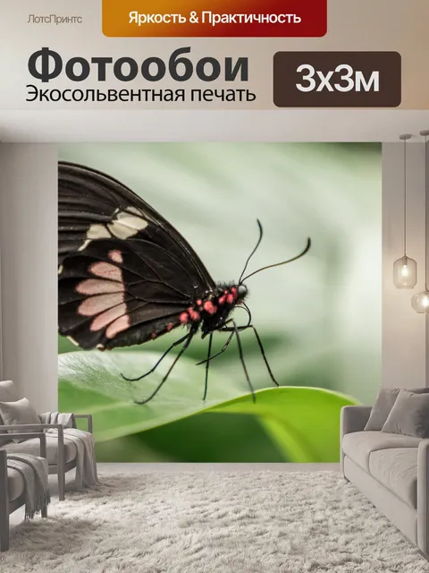 Фотообои Сад бабочек бенальмадена