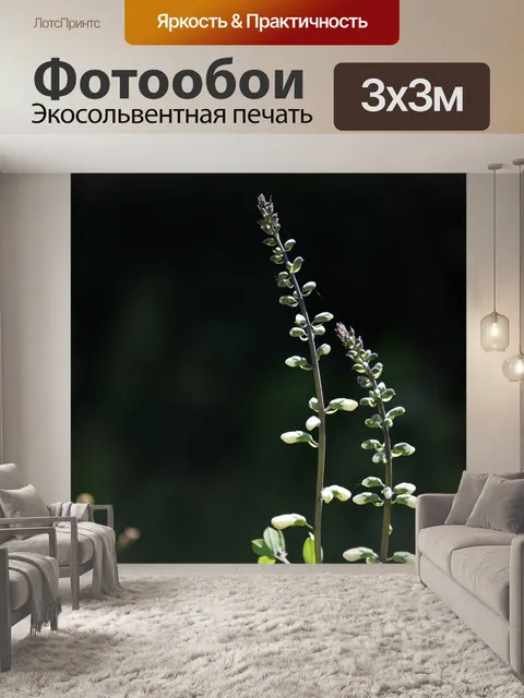 Фотообои Индиго