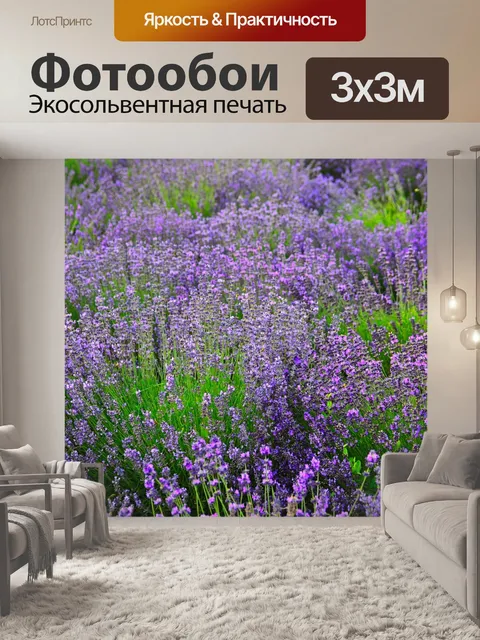 Фотообои Лаванда