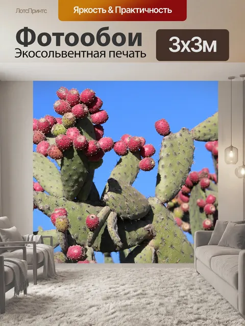 Фотообои Нопал